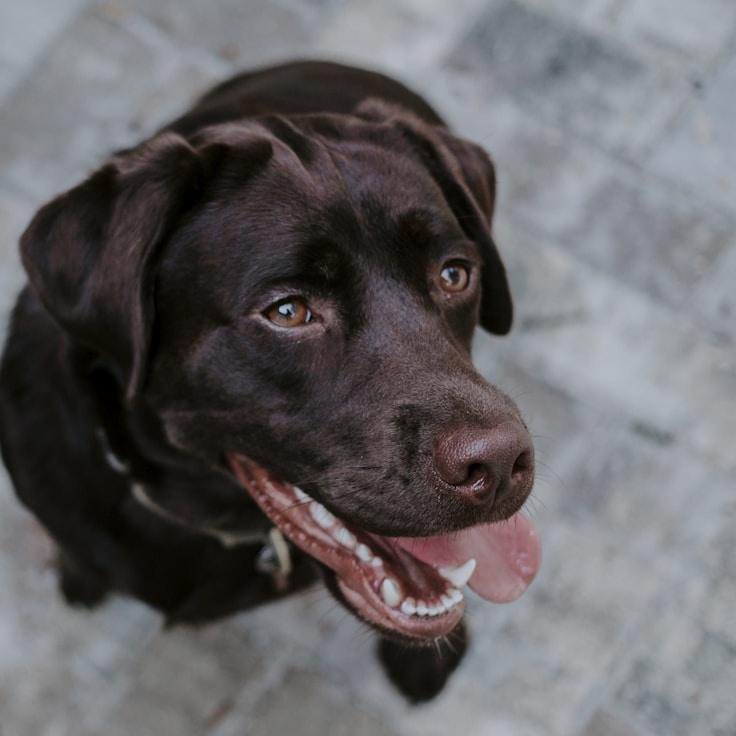 Avery Chen, Lead Design Curator at Cleft Paddle Timber, reviewing corporate floral arrangements